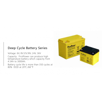 FirstPower VRLA (AGM) Batteries