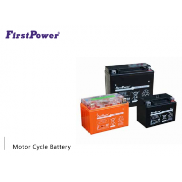 FirstPower VRLA (AGM) Batteries