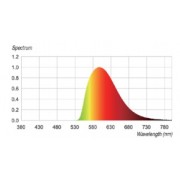 Grid-Mounted LED Linear Light – Yellow Light